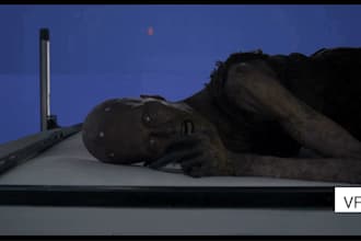 do realistic horror vfx, scary creatures, fur cgi, 3d animal animation, composit