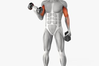 create 3d fitness, workout and muscle anatomy animations