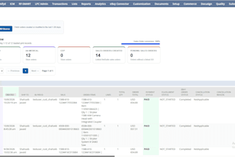 customize netsuite and integrate apis and third party systems