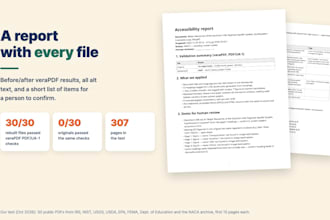make your PDF accessible with tags, alt text and a verapdf report