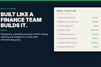 build an investor ready financial model and 3 statement projections