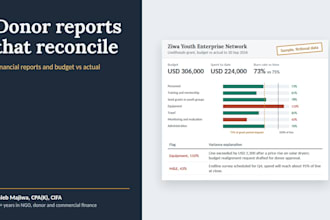 donor financial reports and budget vs actual