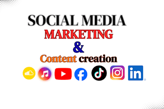 be your music social media manager for artist growth and content creation