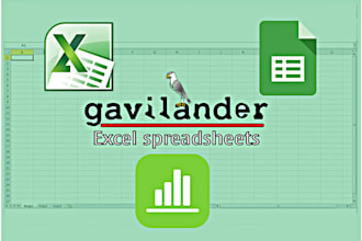 do excel data entry, data collection