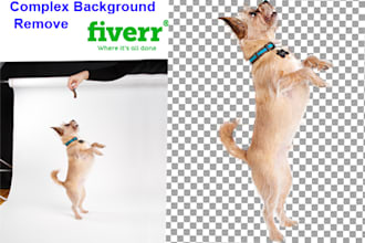 do any complex background remove professionally