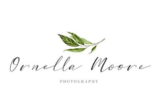 design a modern watercolor logo with express delivery