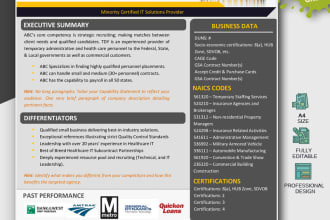 provide editable ms word business capability statement template only