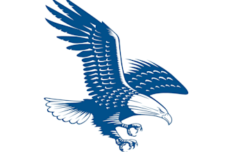 design outstanding eagle logo with express delivery
