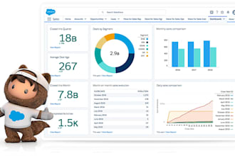 do salesforce development and support