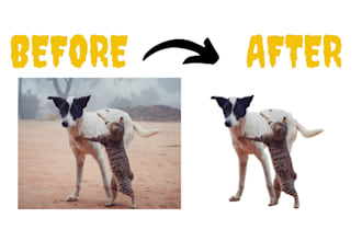 professional photo background removal