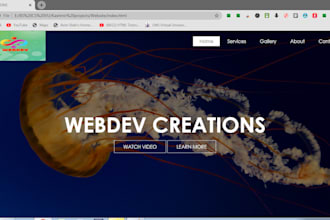 create ecommerce store website using wordpress through woo commerce