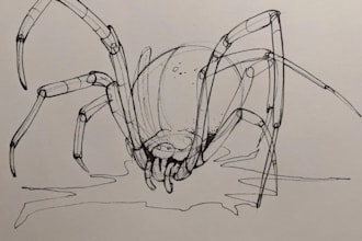 sketch or create a concept for you