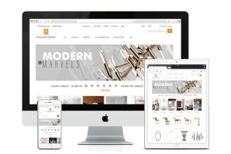 develop woocommerce or shopify fully functional website