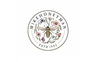 design outstanding bee logo with express delivery