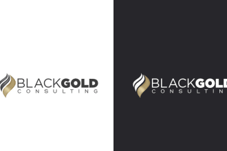 provide an accounting financial tax insurance and consulting logo design