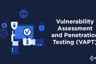 perform vulnerability assessment and penetration testing
