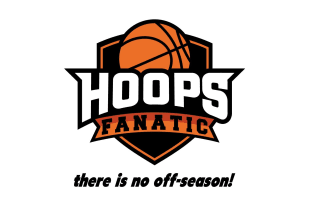 design modern professional basketball logo