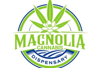 design a professional modern cannabis logo
