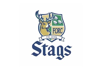 design high quality deer logo in high definition