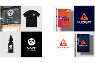 create a proffesional logo design 1 day