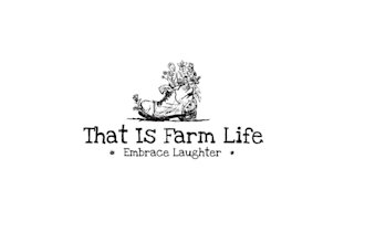 create a beautiful exciting logo design
