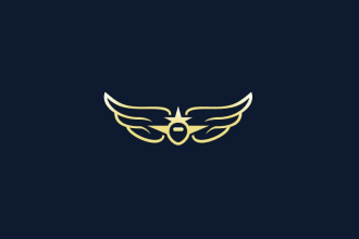 design awesome legal aviation logo with unlimited revision in 12 hours