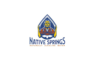 design a professional awesome spring water logo