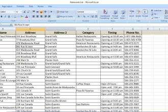 do manual fast accurate excel data entry, copy paste, web scraping and typing
