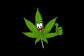 design premium quality cannabis, weed, hemp, cbd brand logo