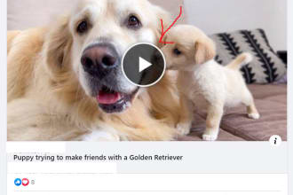 give you guide how to post link with square image thumnail on facebook