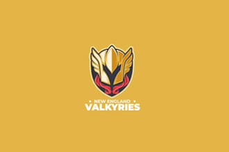 unique girls hockey team logo