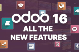do odoo 17 installation on your server