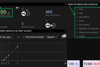 youtube video SEO optimization to improve organic rank