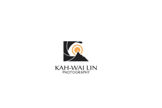 design a highly customized, expert photography logo or icon for your business