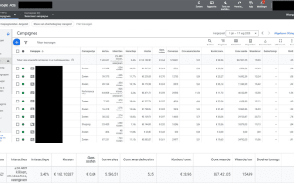 implement an business unique google ads sea strategy