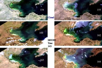 create gis map, vector map, do spatial analysis