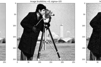 do image classification segmentation and object detection