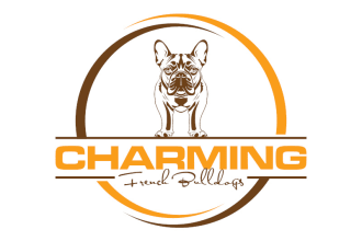 build a contemporary bull dog logo in a day