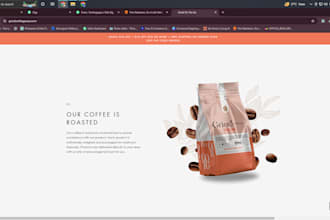 do shopify website design, optimization and rebranding