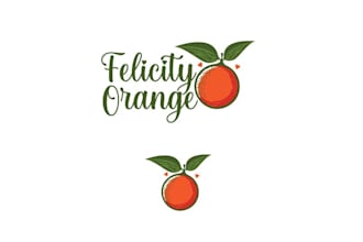 classic reflects company name logo design