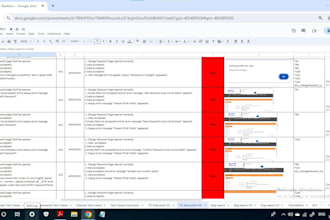 provide expert manual software testing
