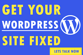 provide professional wordpress maintenance, website update and support