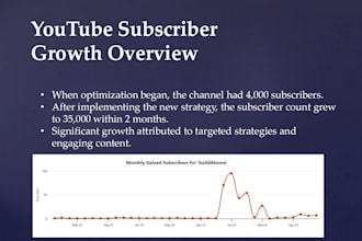 youtube channel audit and help you grow subscription