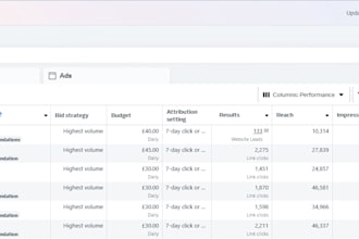 run high converting meta, google and linkedin ad campaigns