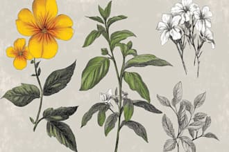 craft a beautiful botanical or floral illustration