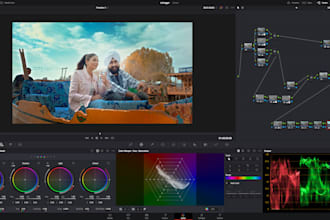 do professional video color grading, color correction, cinematic looks colorist