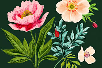 draw botanical vector illustration of plants and flowers