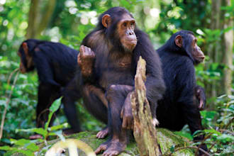 plan your adventure safari itinerary