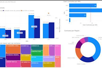 do a professional business data analysis using excel and power bi