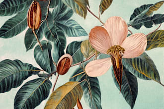 draw botanical illustration art for you